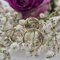 14k Yellow Gold Seam Rings